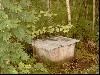 2003_0308_082325AA.jpg